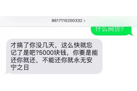 红桥讨债公司